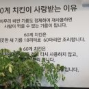 60계 증평점 네이버블로그