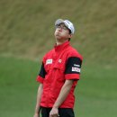 이동하 카카오 검색결과