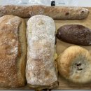 유동부치아바타