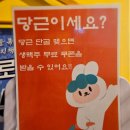 문토리인천도화점 | 인천_도화맛집 청운대술집 문토리 인천도화점 후기
