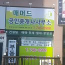 매머드공인중개사사무소 이미지