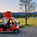 플라워캠핑장 이미지