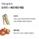제주디톡스 | 디톡스 루틴 시작, 직접채움 말차카테킨 말차클렌즈 제주 말차정 후기
