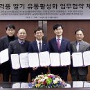 못난이커피
