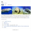 둥지P.C | 필리핀 팔라완섬 (코론, 엘니도, 푸에르토프린세사) 기본 여행 정보! (P의 여행계획 / J 속터짐 주의)