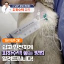 24시잠실ON동물의료센터 이미지