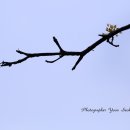 수지면 마륜마을 이미지