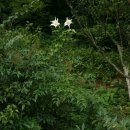 축령산휴림 이미지