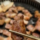한국지엠 서구바로서비스 | [대구 서구 맛집] 평리동 구워주는 한돈 삼겹살 고기 맛집 뚱단지돼지정육식당 대구 본점