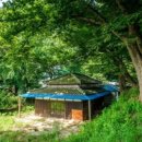 용서농장 네이버블로그