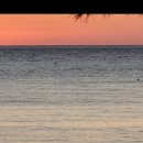 큰복골3 이미지