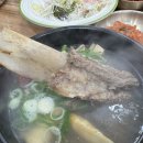광주역점심 신안동갈비탕 도가니탕 맛집, 동이집