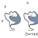 아싸가오리 이미지