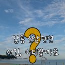 테라머뭄 이미지