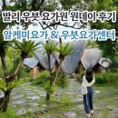 A-TOP FITNESS CENTER | 발리 우붓 요가원 알케미요가 우붓요가센터 비교 후기