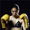 농어민문화체육관 체육관 이미지