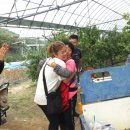 성리농장 이미지