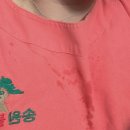 송원불가마 이미지