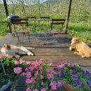 맨션애플트리 이미지