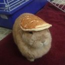 올림픽밸리 이미지