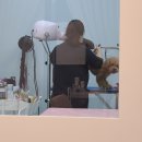 오늘DOG예쁨 이미지