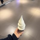 똘똘이 목장 | MAR(3) 어서와 펫페어는 처음이지?