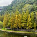 용소웰빙공원(입구) 이미지