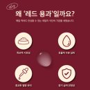 (주)동원약품 원주지점 | G-REP 녹십자에서 드디어 신제품이?! 용과맛 출시!!