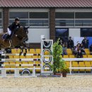 장수승마장 이미지