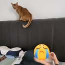 센텀아동병원 이미지