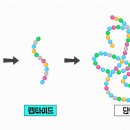 마법의약국 이미지