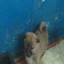 한배미길 이미지