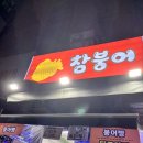 다양한 맛이 있는 평택 붕어빵 맛집 [참붕어] 내돈내산 후기