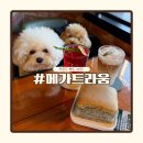 증평초등학교 정문 앞 인도 | 천안 대형카페 메가트라움 방문 후기 감성 인테리어에 반한 날