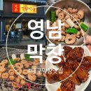 대구 종로 막창 맛집 웨이팅 없이 방문한 후기 [영남막창] 막창 불꼬리 추천