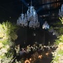 다솔 스테이 | 🎤🎤결혼중간점검🎤🎤 | 메종드 아나하, 라피니 태영 , 퍼스널서울, 오데이오, 와이즈웨딩 변다솔