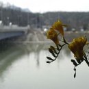 공지천 에디오피아 이미지