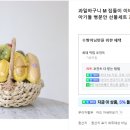 면목과일