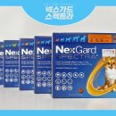 정촌약국 이미지