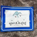 멍마르뜨언덕애견펜션
