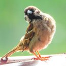 한밭수목원1 이미지