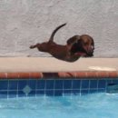 몽몽이# 이미지