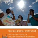 토이건설기계