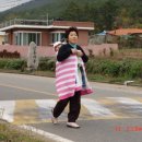 해바리마을 이미지