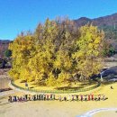 가을여행 이미지