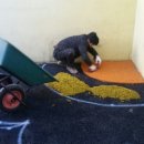 중앙동279 이미지