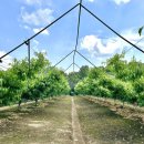 대창면행정복지센터 이미지