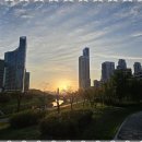 슬기로운부동산중개사무소 이미지