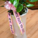 청개구리작은도서관 이미지