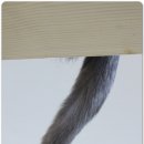 나비호텔 이미지